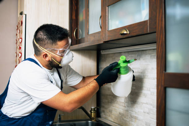 Reliable Fond Du Lac, WI Pest Control Solutions