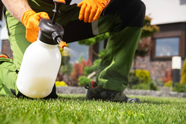 Best Affordable Pest Control Services  in Fond Du Lac, WI