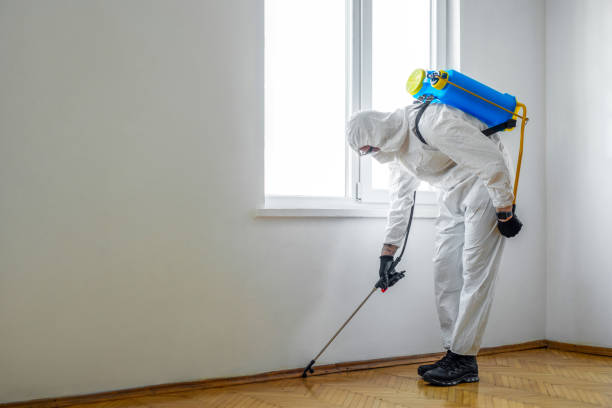 Best Best Pest Control Companies  in Fond Du Lac, WI