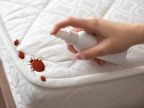 Best Mosquito Control Services  in Fond Du Lac, WI