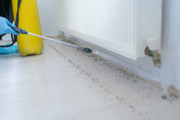 Best Pest Inspection Near Me  in Fond Du Lac, WI